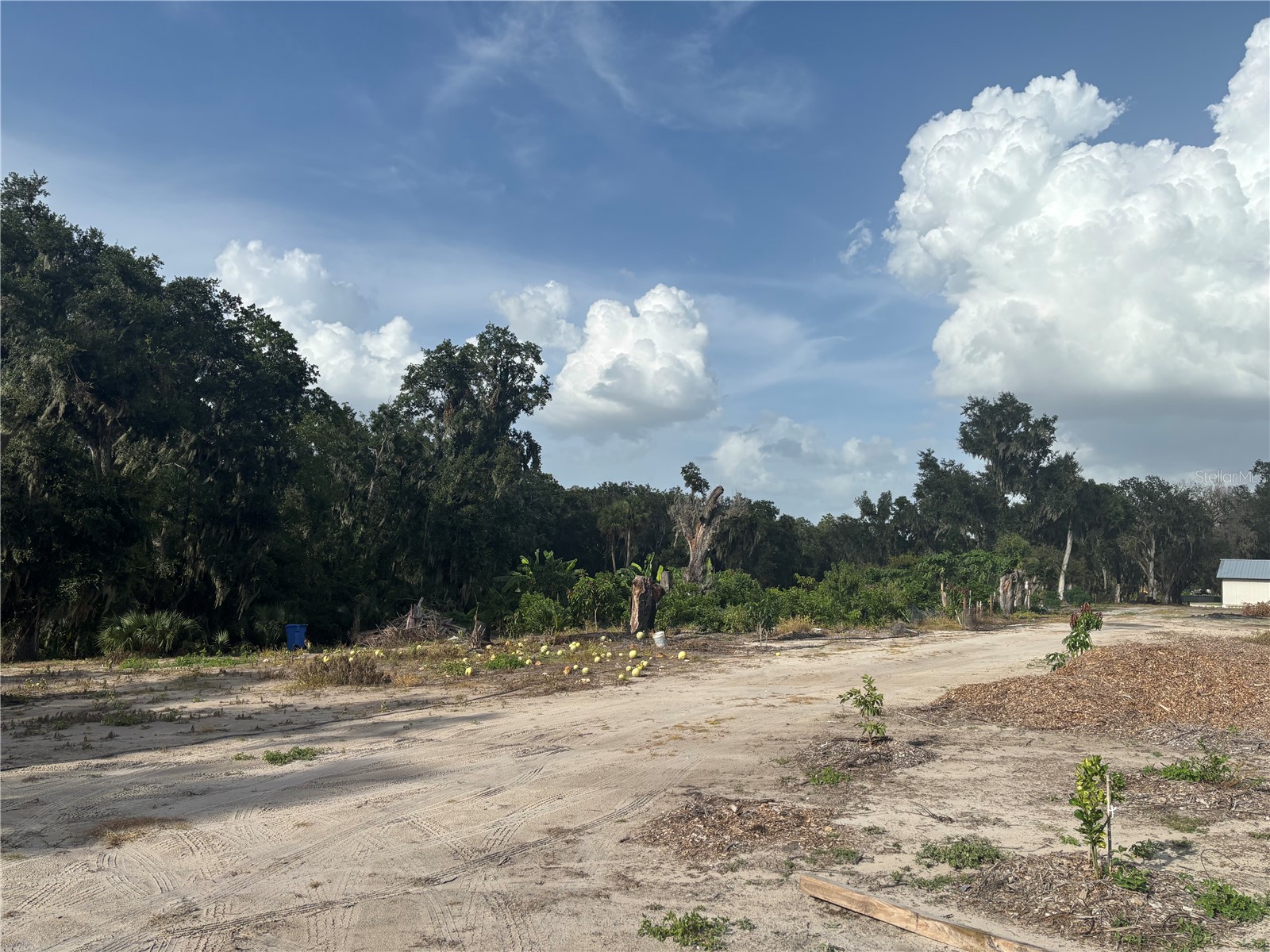 7117 S County Line Road Plant City FL 33567 TB8411243 image8