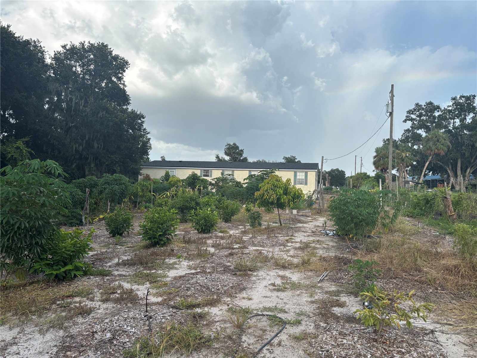 7117 S County Line Road Plant City FL 33567 TB8411243 image9