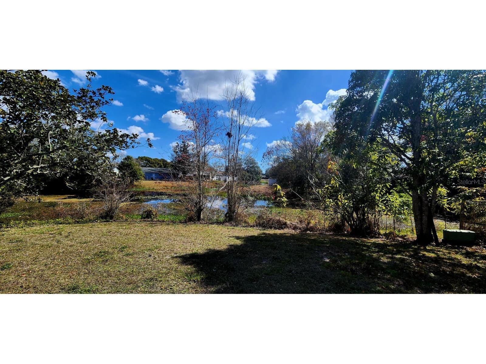 7118 Jenner Avenue Trinity FL 34655 TB8467033 image12
