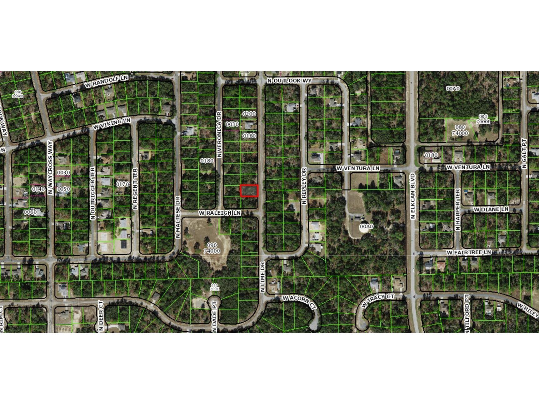7118 N Lime Drive Citrus Springs FL 34433 D6146033 image1