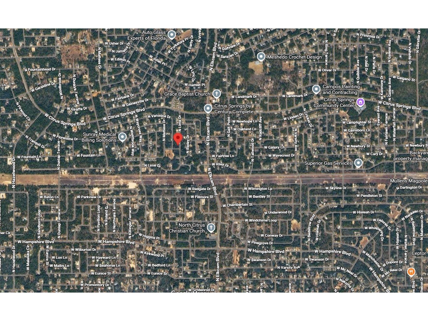 7118 N Lime Drive Citrus Springs FL 34433 D6146033 image2