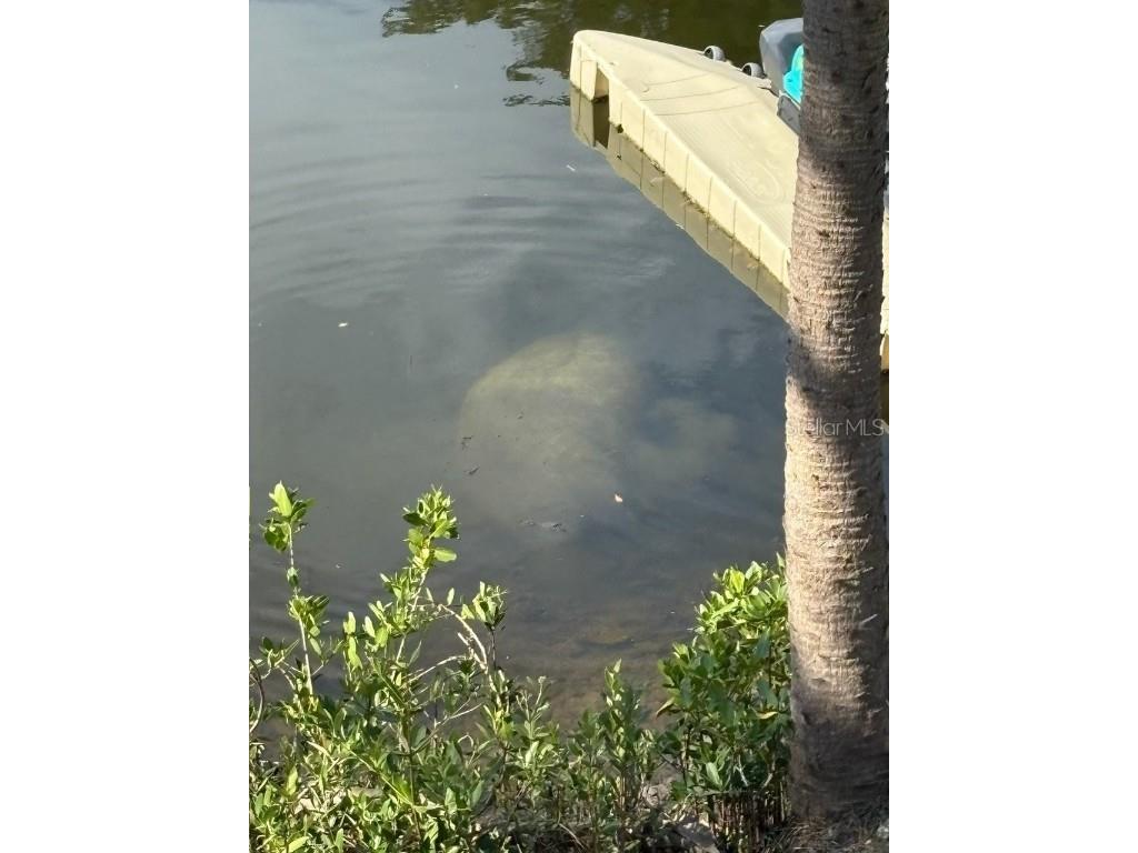 7119 Fair Lane Hudson FL 34667 TB8418896 image29