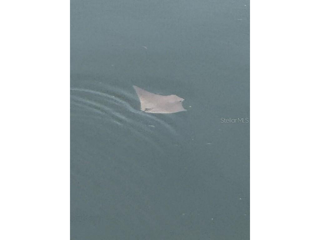 7119 Fair Lane Hudson FL 34667 TB8418896 image30