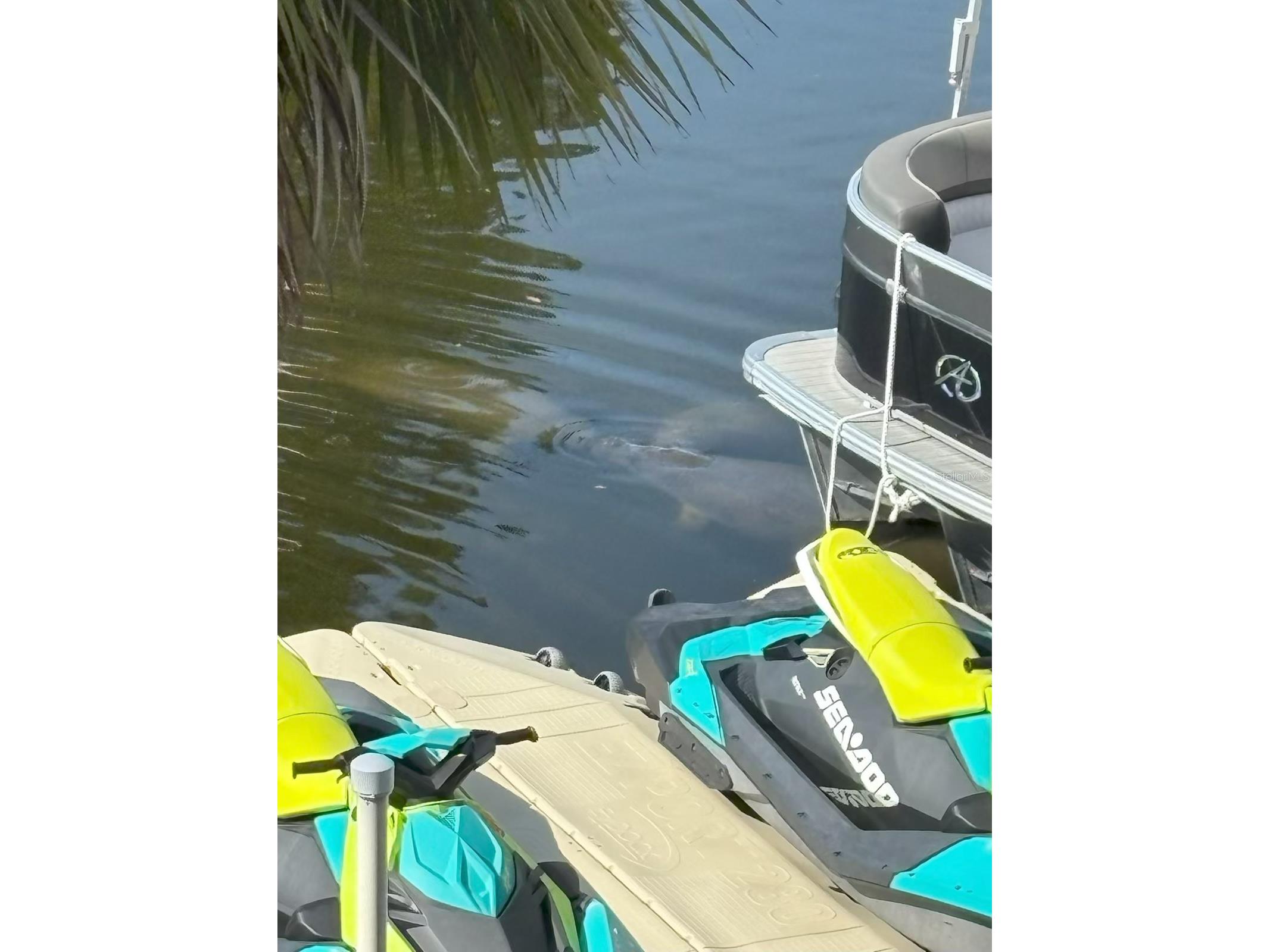 7119 Fair Lane Hudson FL 34667 - GULF OF AMERICA TB8481572 image24