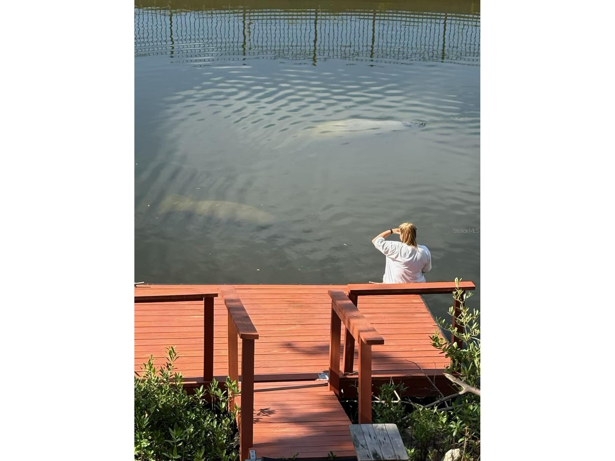 7119 Fair Lane Hudson FL 34667 - GULF OF AMERICA TB8481572 image9