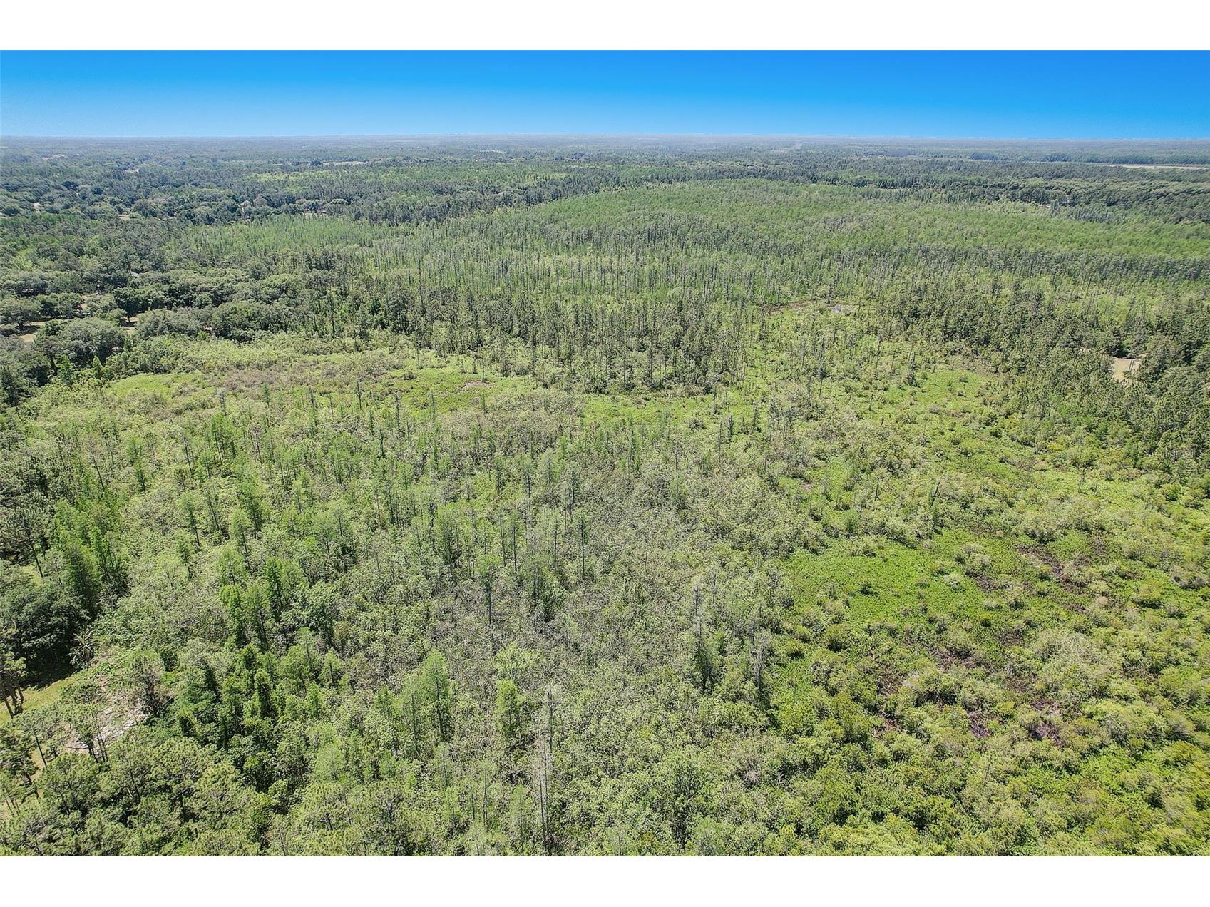 7119 State Road 33 Clermont FL 34714 O6409178 image11