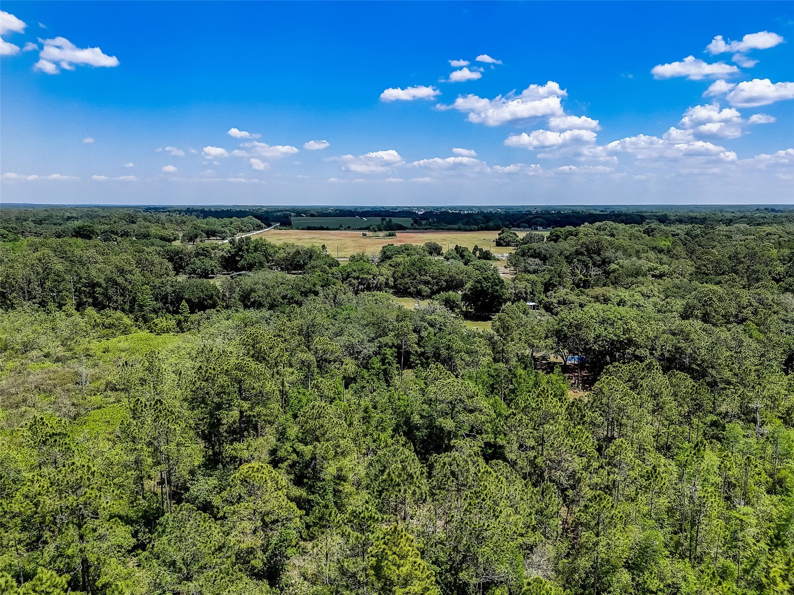 7119 State Road 33 Clermont FL 34714 O6409178 image8