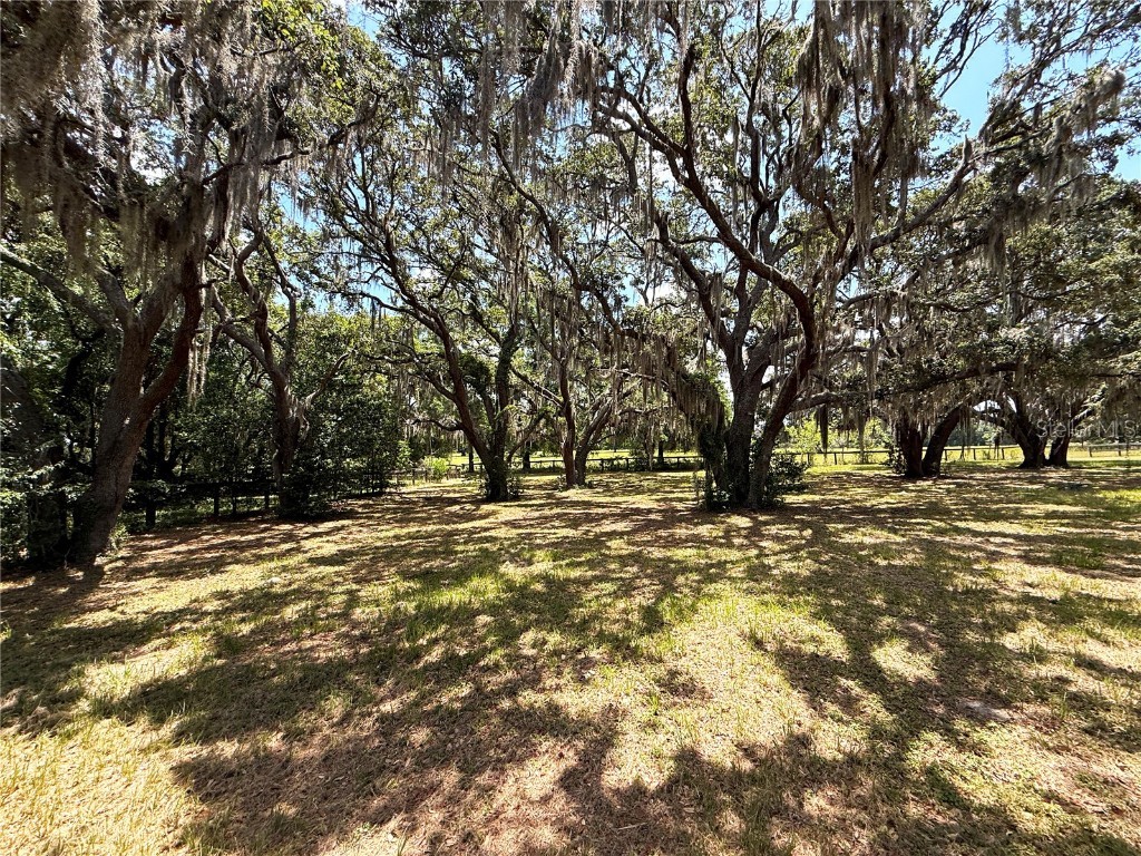 7119 SW 80th Avenue Ocala FL 34481 O6309705 image38