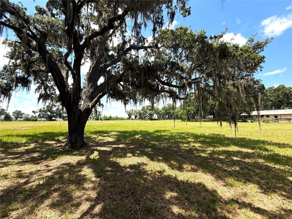 7119 SW 80th Avenue Ocala FL 34481 O6309705 image39