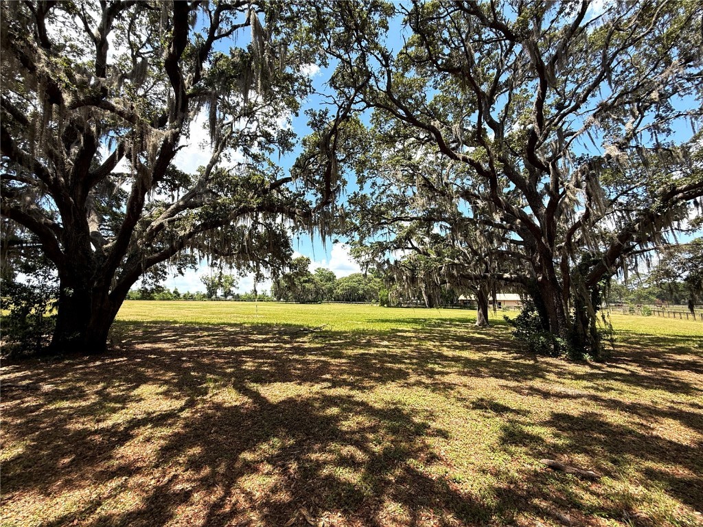 7119 SW 80th Avenue Ocala FL 34481 O6309705 image40