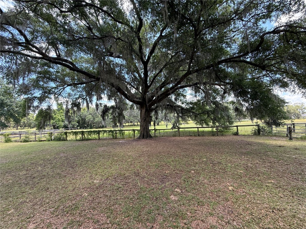 7119 SW 80th Avenue Ocala FL 34481 O6309705 image58