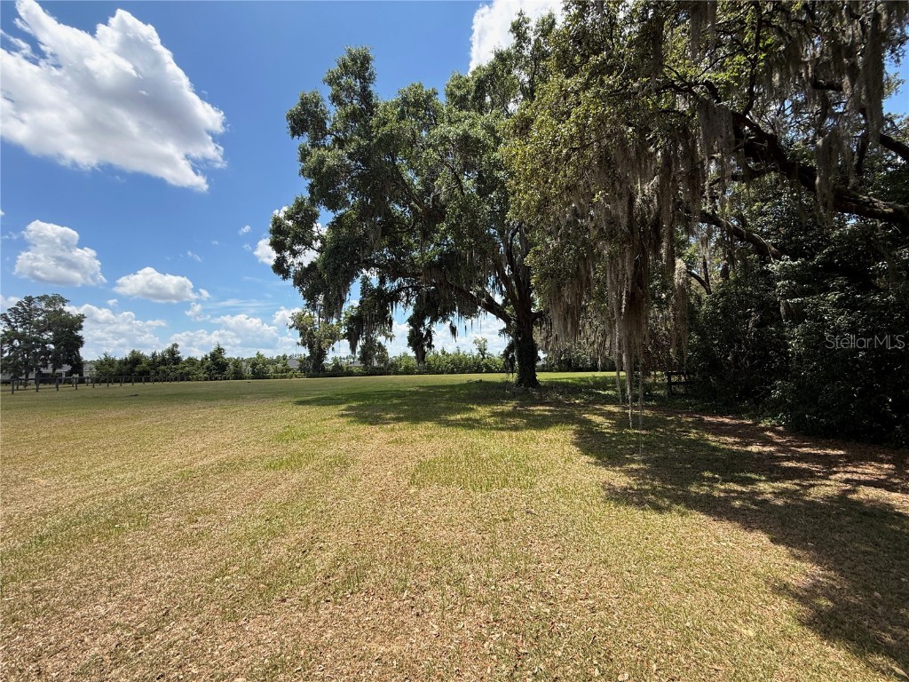 7119 SW 80th Avenue Ocala FL 34481 O6309705 image6