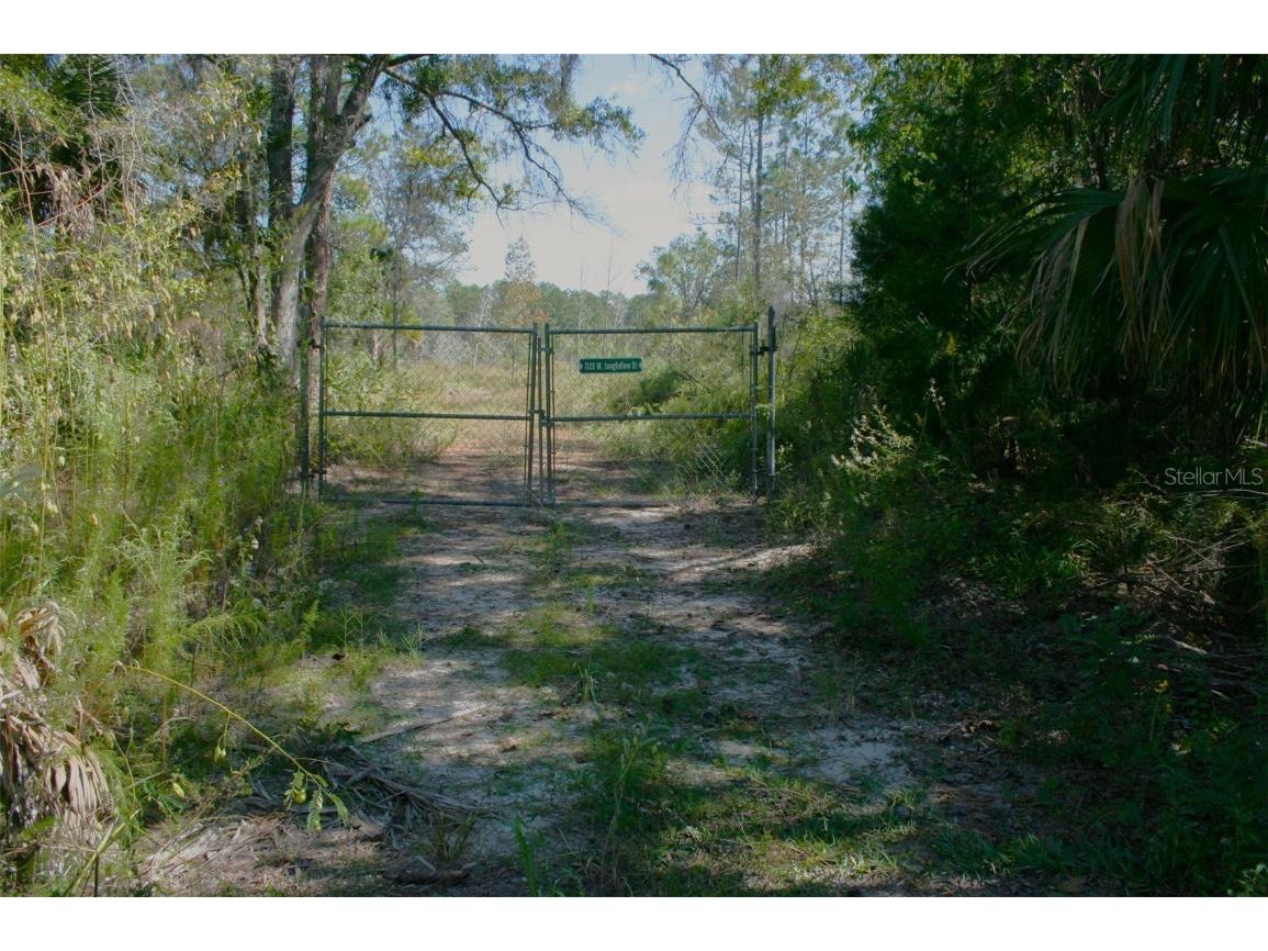 7119 W Longfellow Street Homosassa FL 34448 U8176708 image1