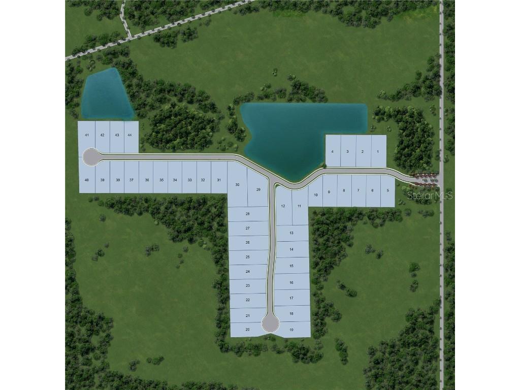 712 Estates Boulevard Tarpon Springs FL 34688 TB8379710 image49