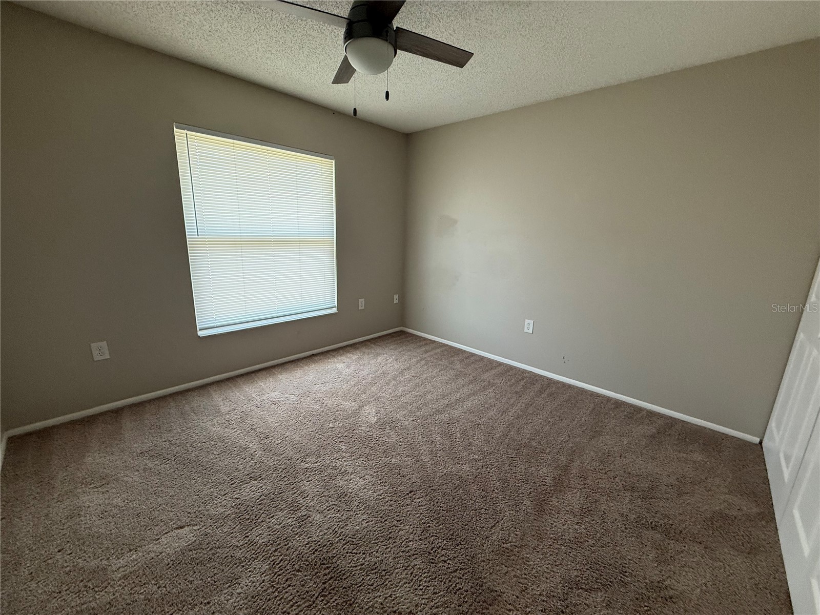 712 Hazy Meadow Court Brandon FL 33510 TB8497644 image18
