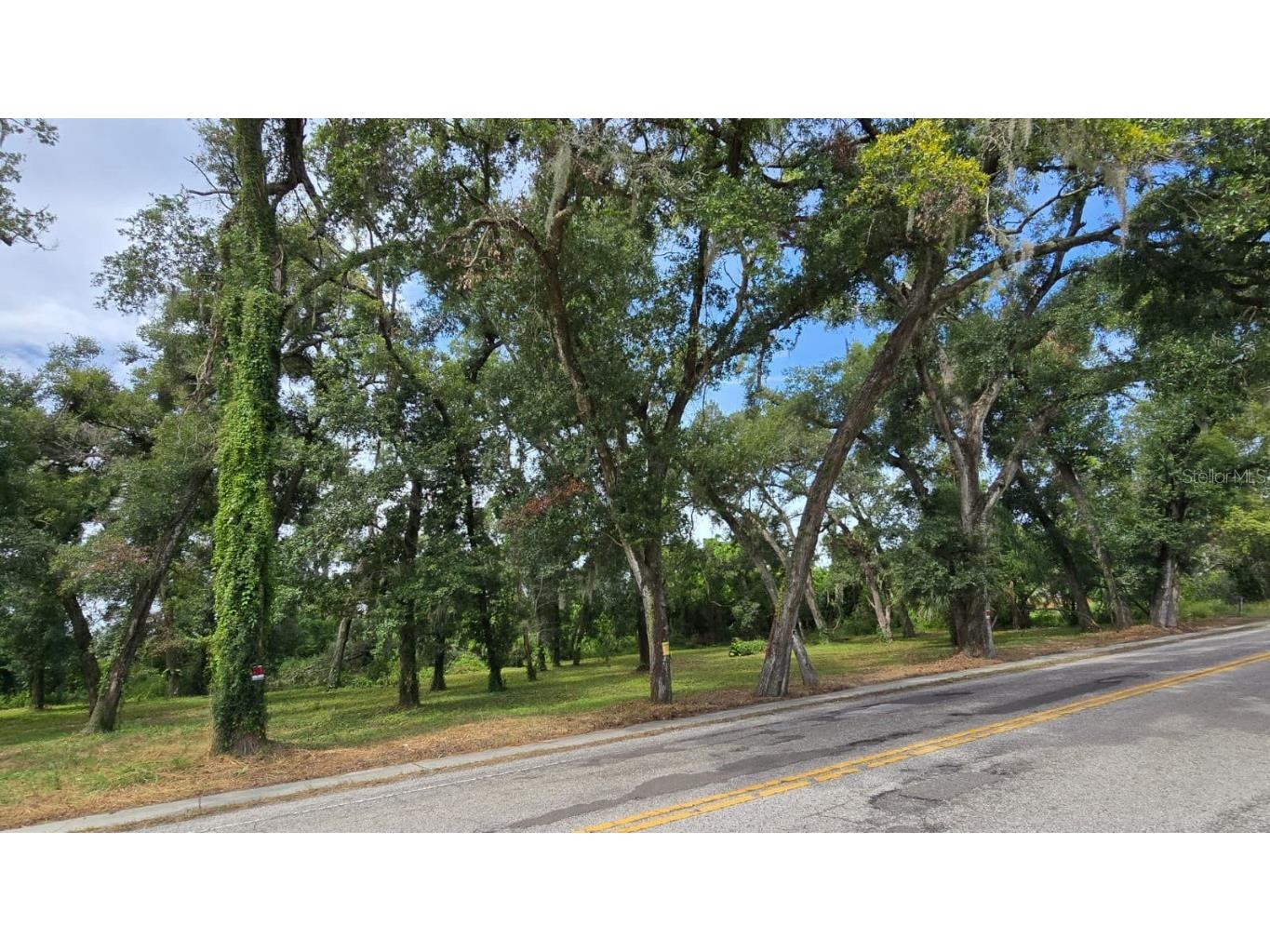 712 Lithia Pinecrest Road Brandon FL 33511 TB8416731 image1