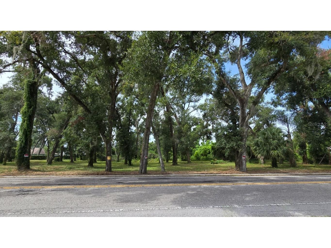 712 Lithia Pinecrest Road Brandon FL 33511 TB8416731 image2