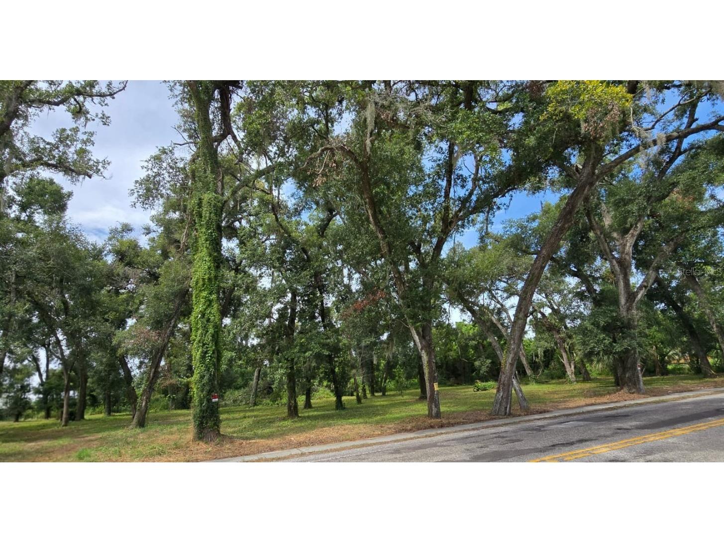 712 Lithia Pinecrest Road Brandon FL 33511 TB8416731 image3