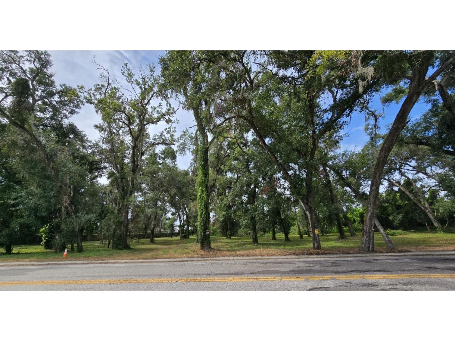 712 Lithia Pinecrest Road Brandon FL 33511 TB8416731 image8