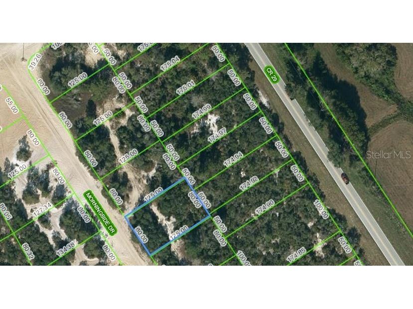 712 Morningside Drive Lake Placid FL 33852 OM624597 image1