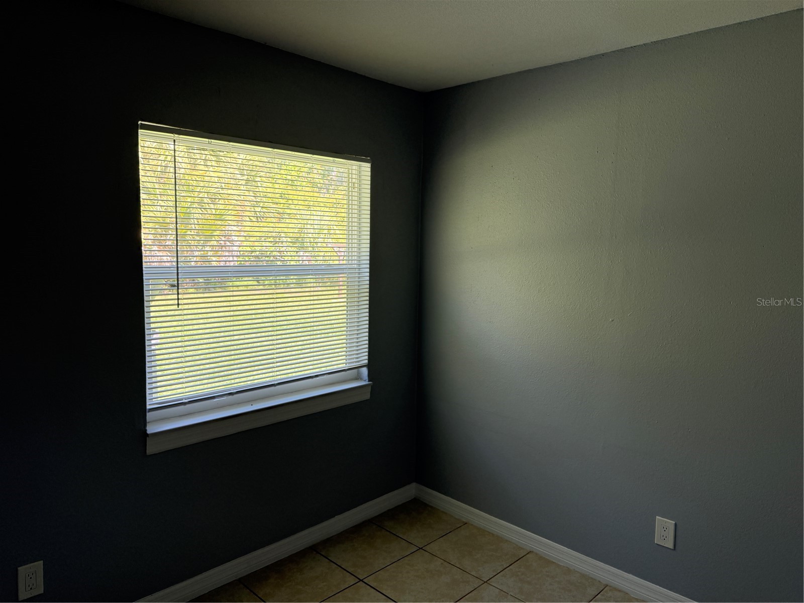 712 Parkwood Avenue #3 Groveland FL 34736 G5114187 image12
