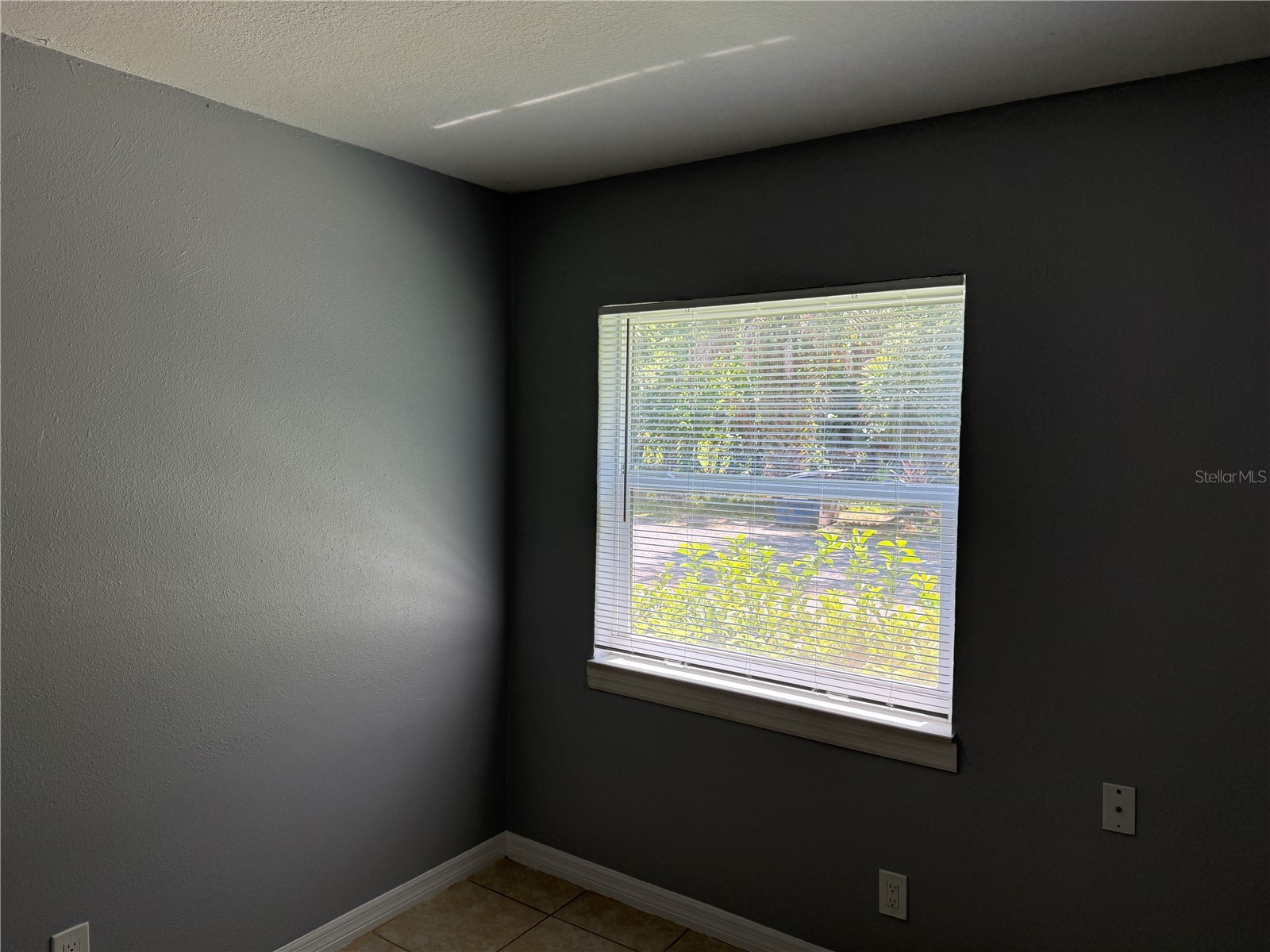 712 Parkwood Avenue #3 Groveland FL 34736 G5114187 image8