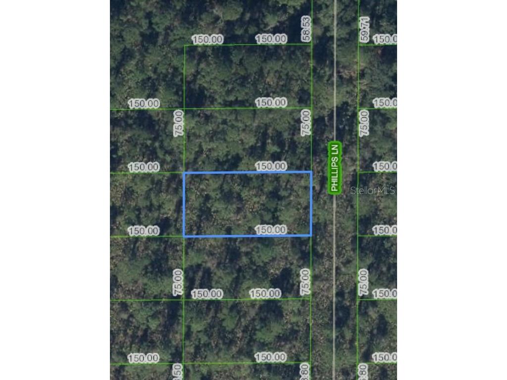 712 Phillips Lane Lake Placid FL 33852 O6261200 image1