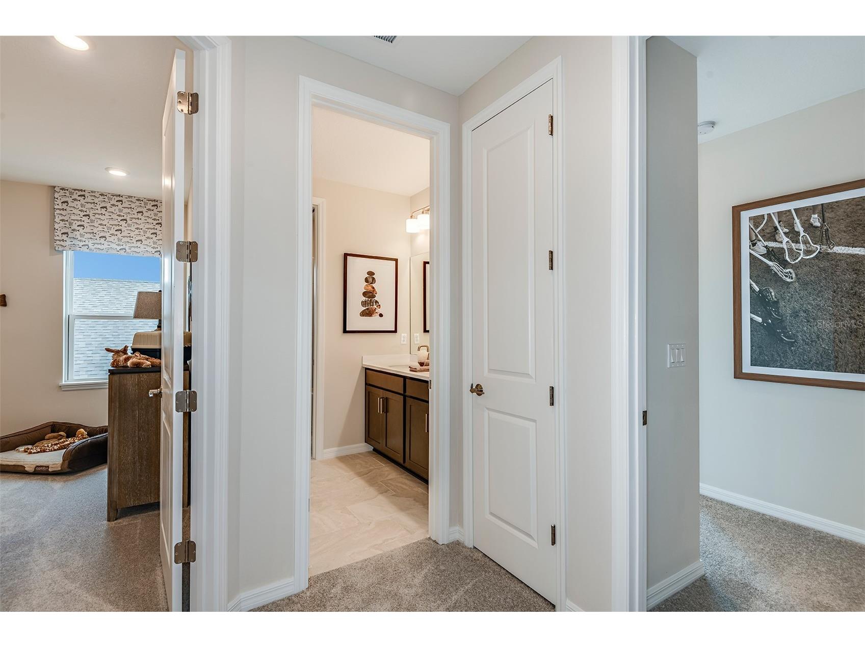 712 Sky Shade Drive Apollo Beach FL 33572 TB8512408 image27