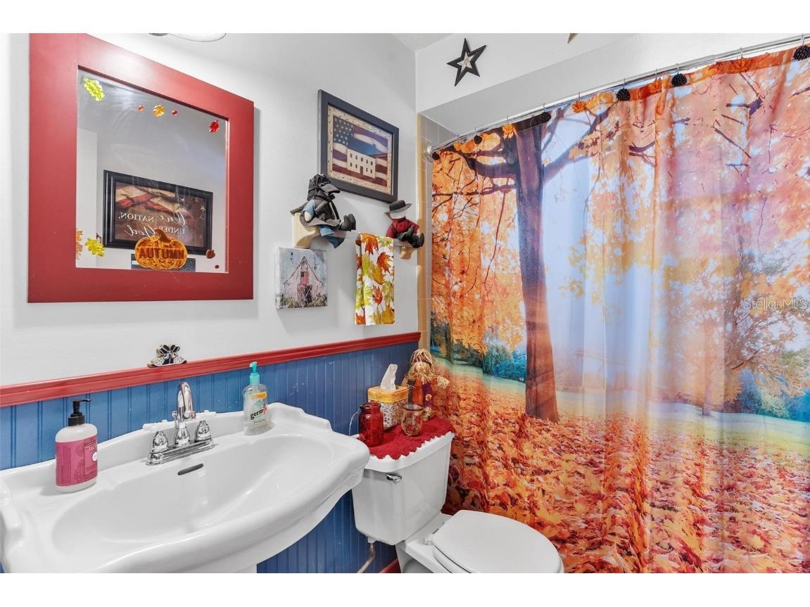 712 Southern Drive Fruitland Park FL 34731 G5102546 image23