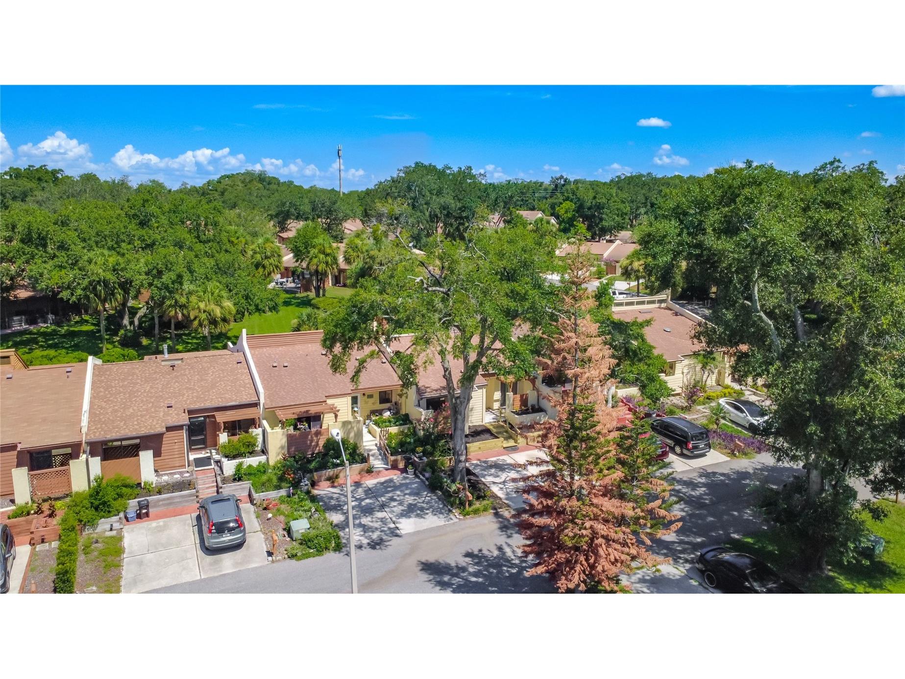 712 Teal Lane Altamonte Springs FL 32701 S5153533 image3