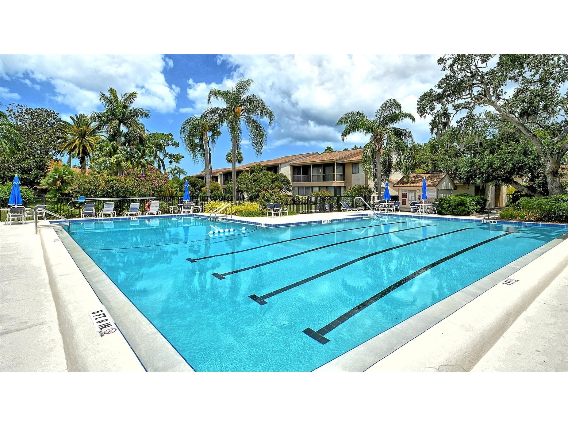712 White Pine Tree Road #77 Venice FL 34285 A4687150 image36
