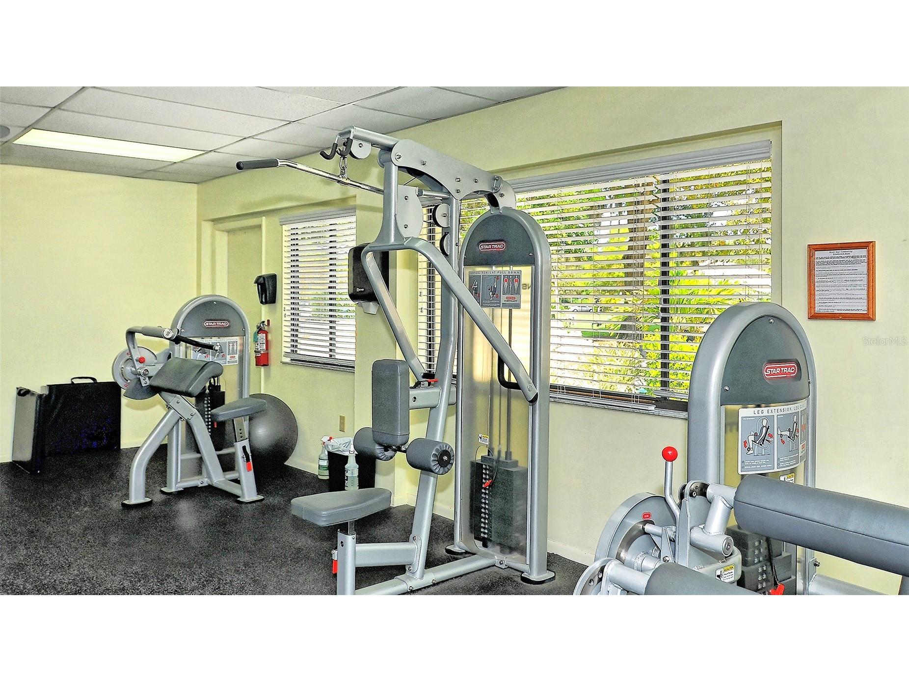 712 White Pine Tree Road #77 Venice FL 34285 A4687150 image40