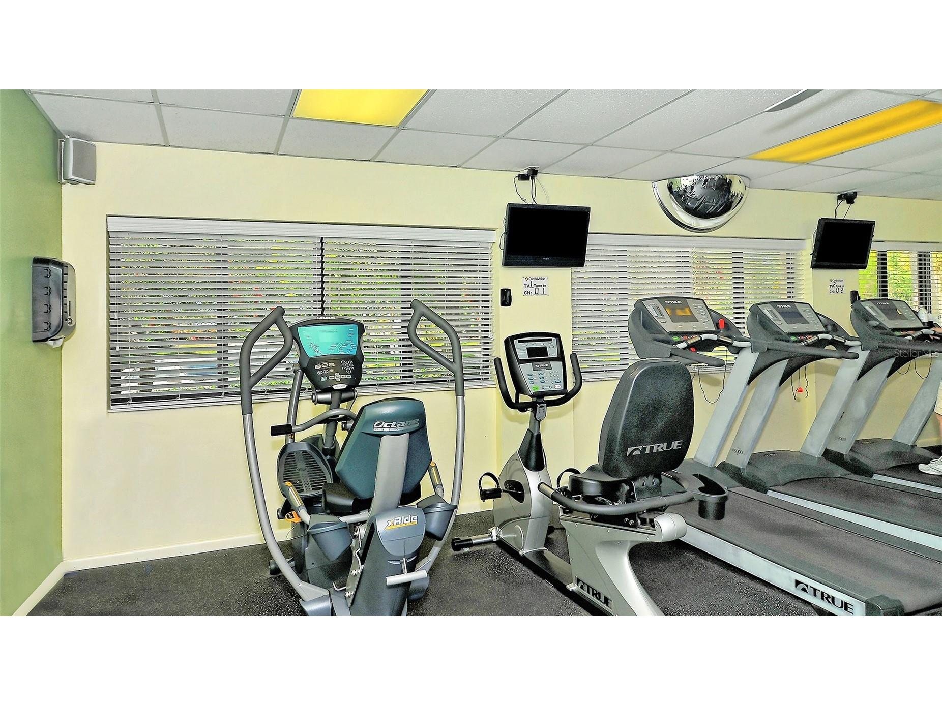 712 White Pine Tree Road #77 Venice FL 34285 A4687150 image41