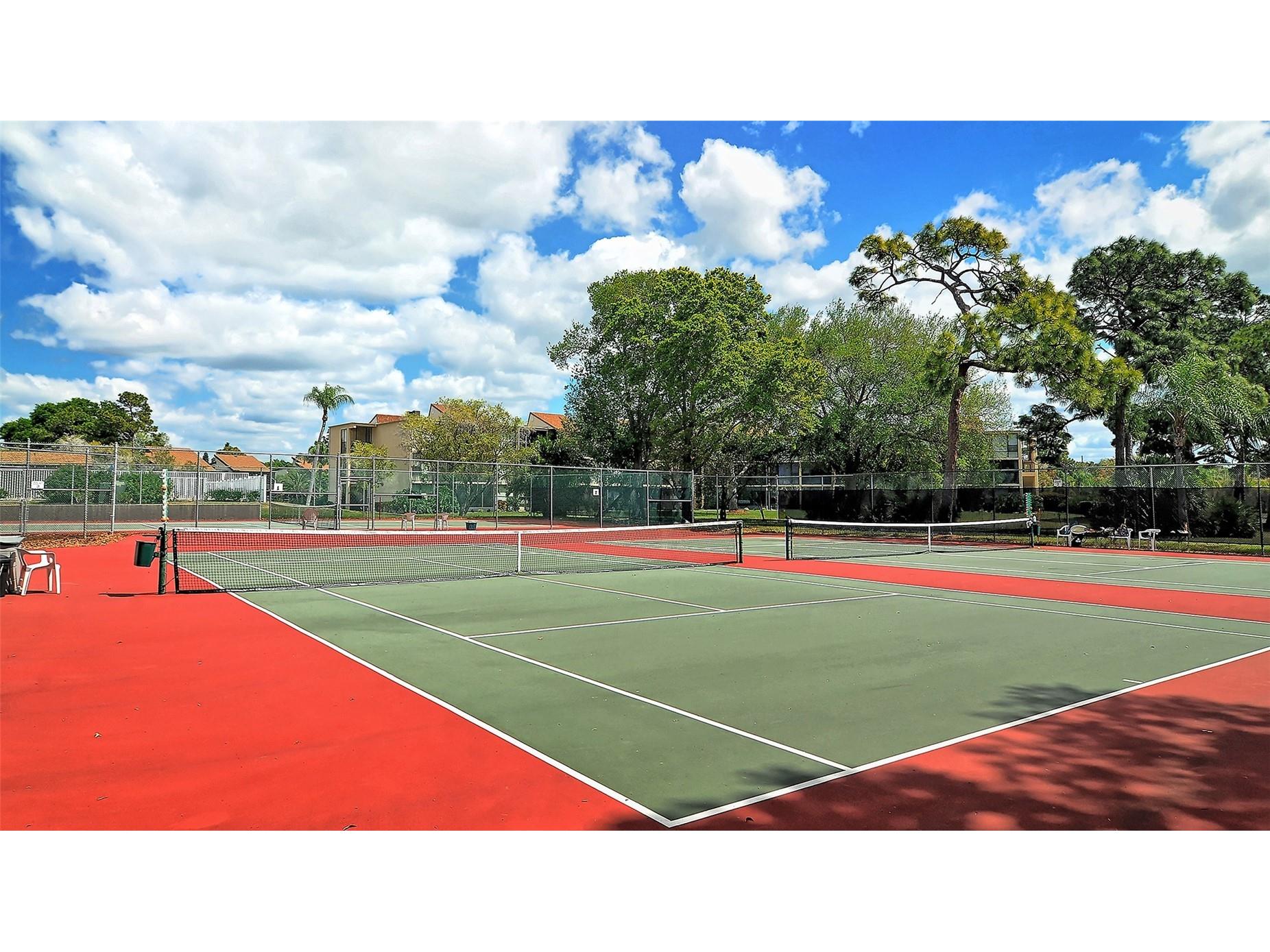 712 White Pine Tree Road #77 Venice FL 34285 A4687150 image50