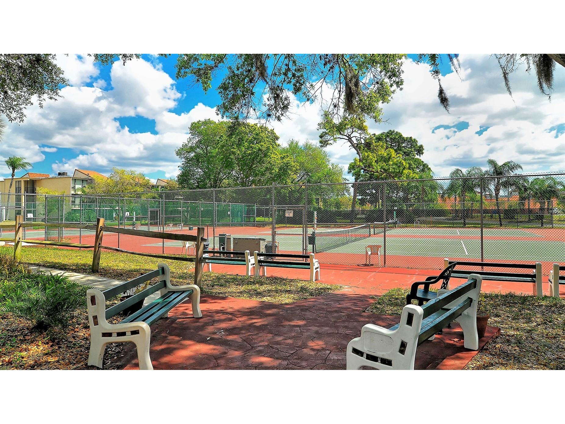 712 White Pine Tree Road #77 Venice FL 34285 A4687150 image51