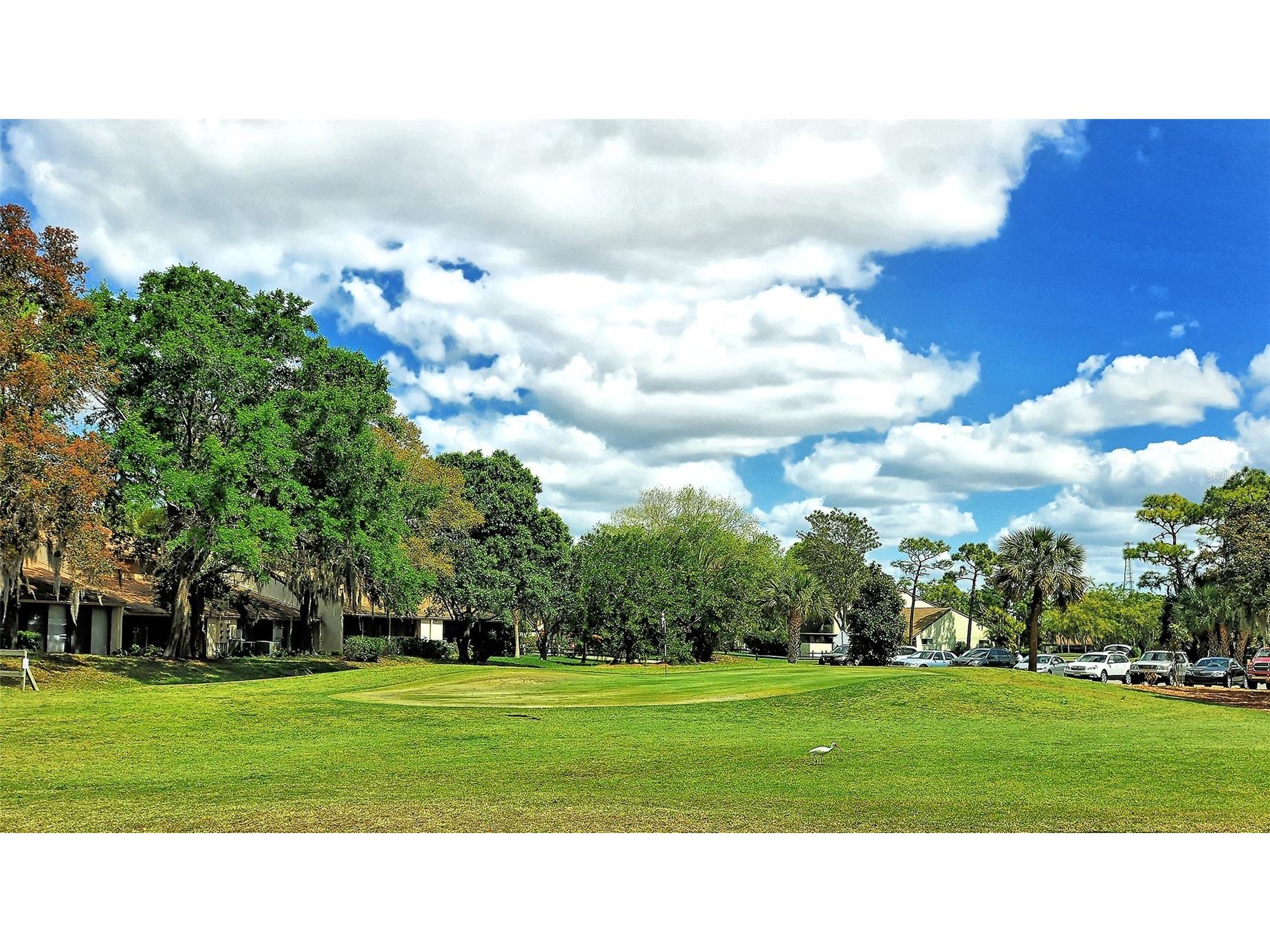 712 White Pine Tree Road #77 Venice FL 34285 A4687150 image58