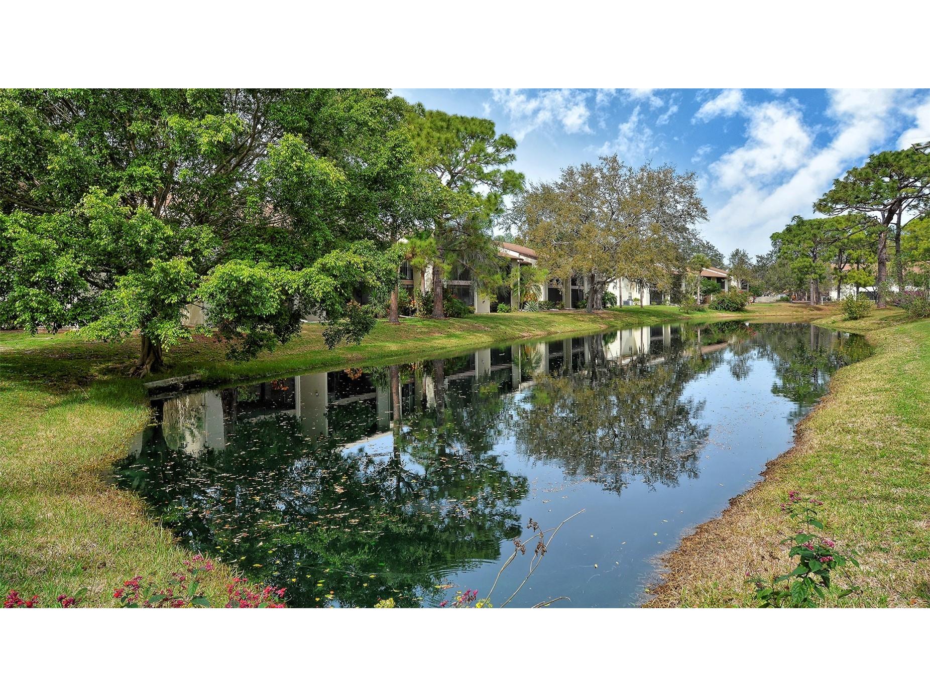 712 White Pine Tree Road #77 Venice FL 34285 A4687150 image63