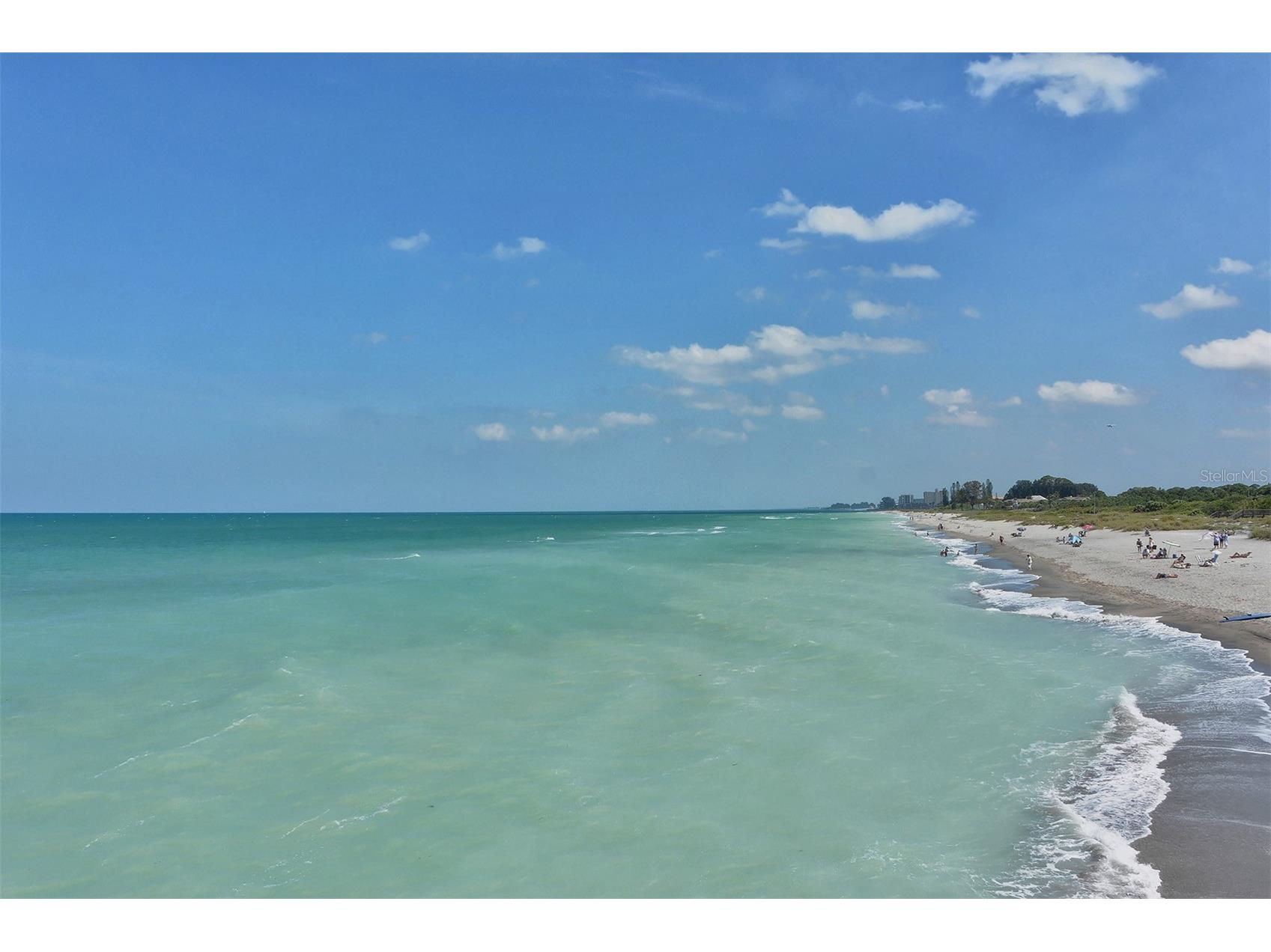 712 White Pine Tree Road #77 Venice FL 34285 A4687150 image91