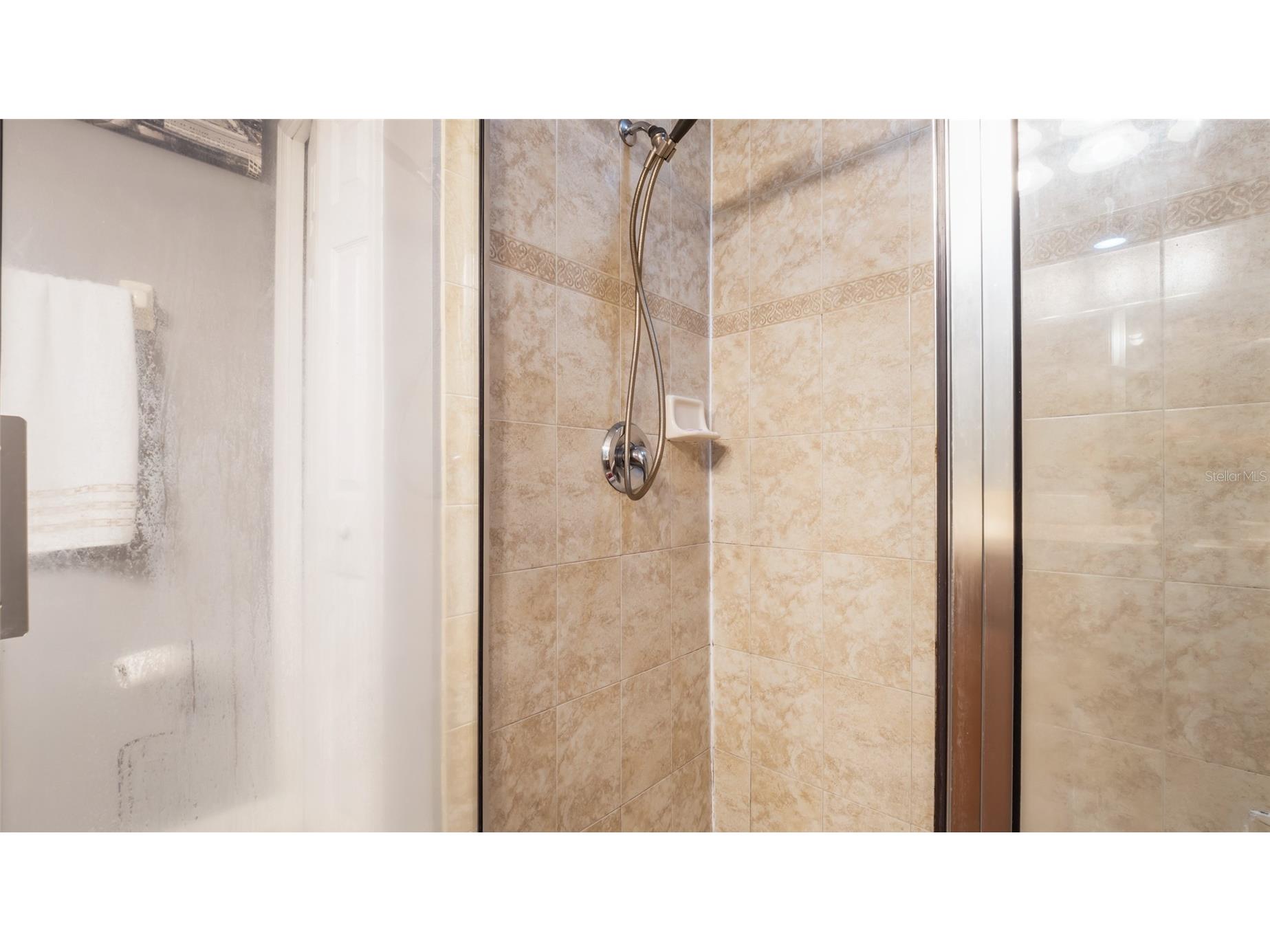 7120 Forest Mere Drive Riverview FL 33578 TB8400339 image23