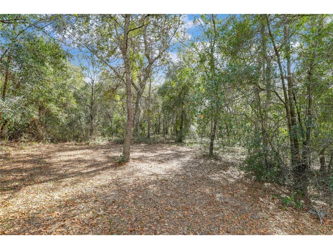 7120 Gas Line Road Keystone Heights FL 32656 FC307111 image73