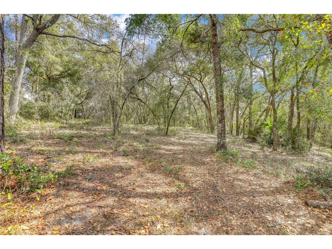 7120 Gas Line Road Keystone Heights FL 32656 FC307111 image74