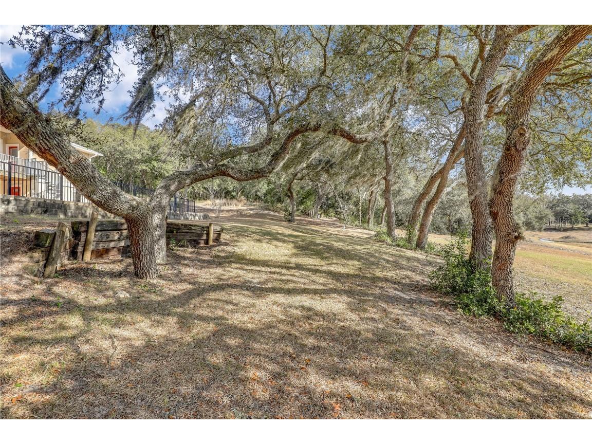 7120 Gas Line Road Keystone Heights FL 32656 FC307111 image75