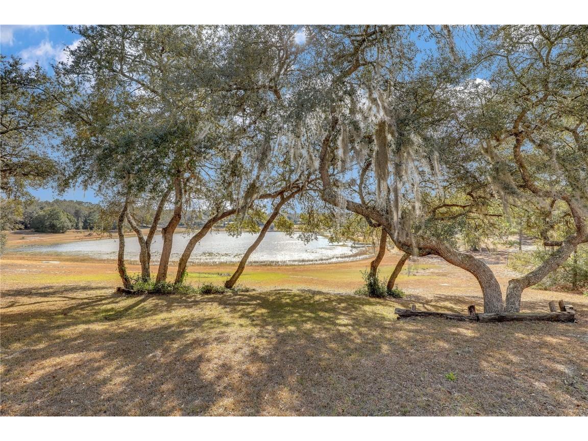 7120 Gas Line Road Keystone Heights FL 32656 FC307111 image77