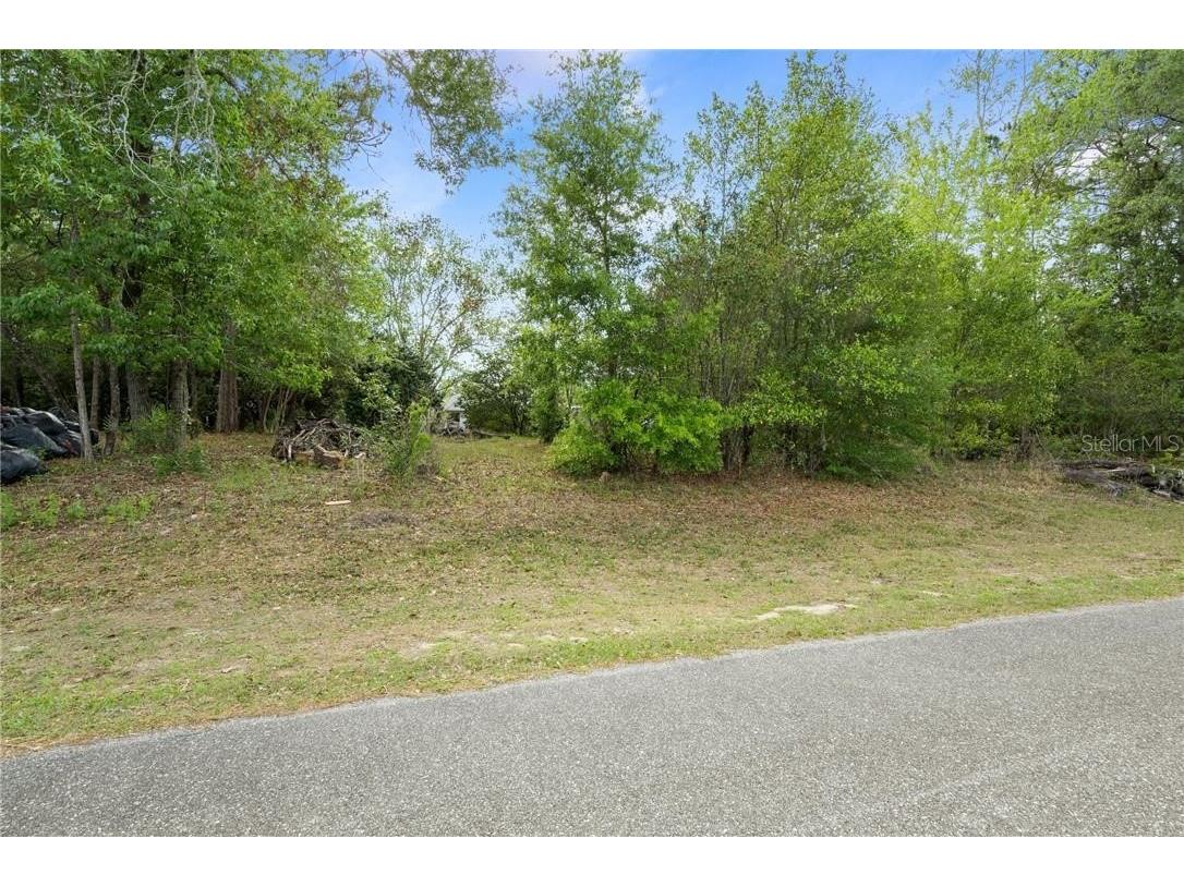 7120 N Outrigger Terrace Citrus Springs FL 34433 OM657249 image1