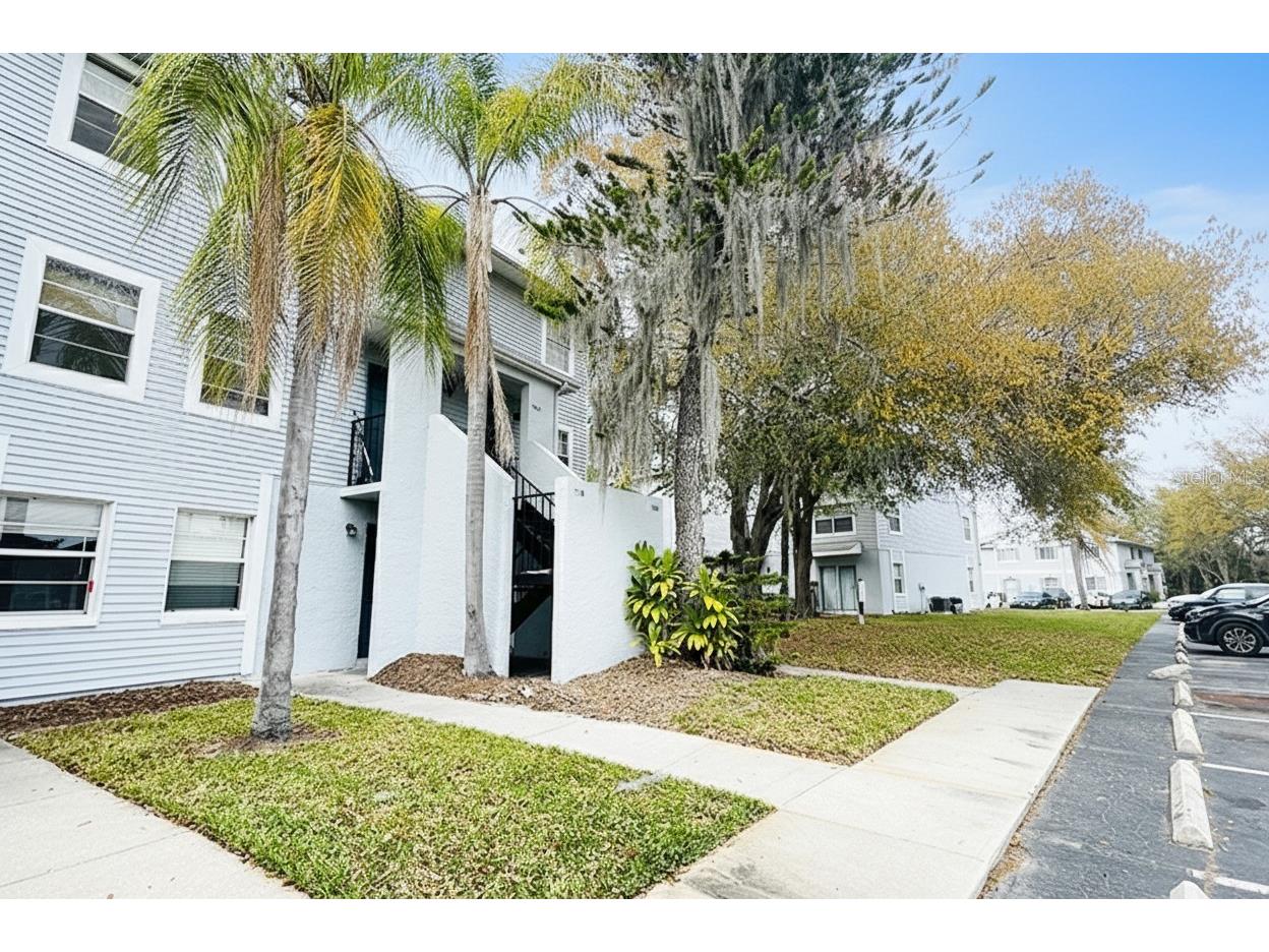 7120 Waterside Drive #106 Tampa FL 33617 O6397405 image1