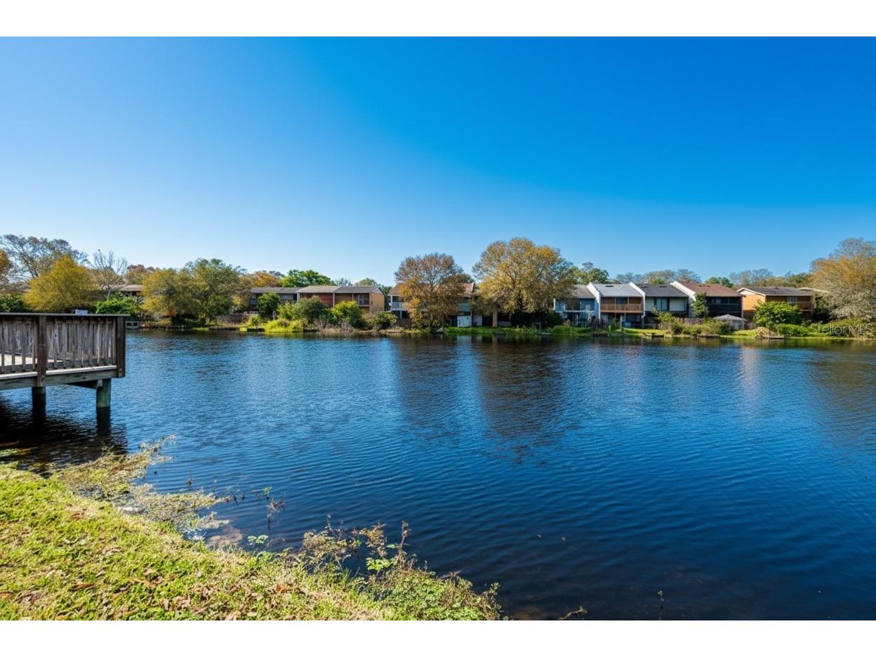 7120 Waterside Drive #106 Tampa FL 33617 O6397405 image12