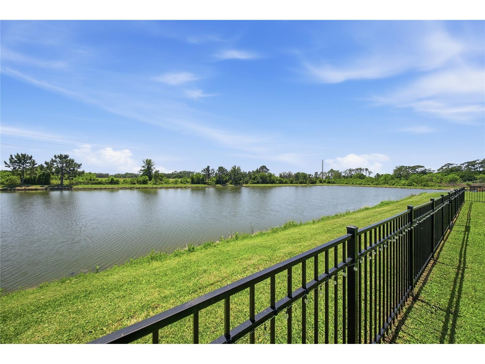 7121 Bradbury Circle Wesley Chapel FL 33545 TB8498607 image55
