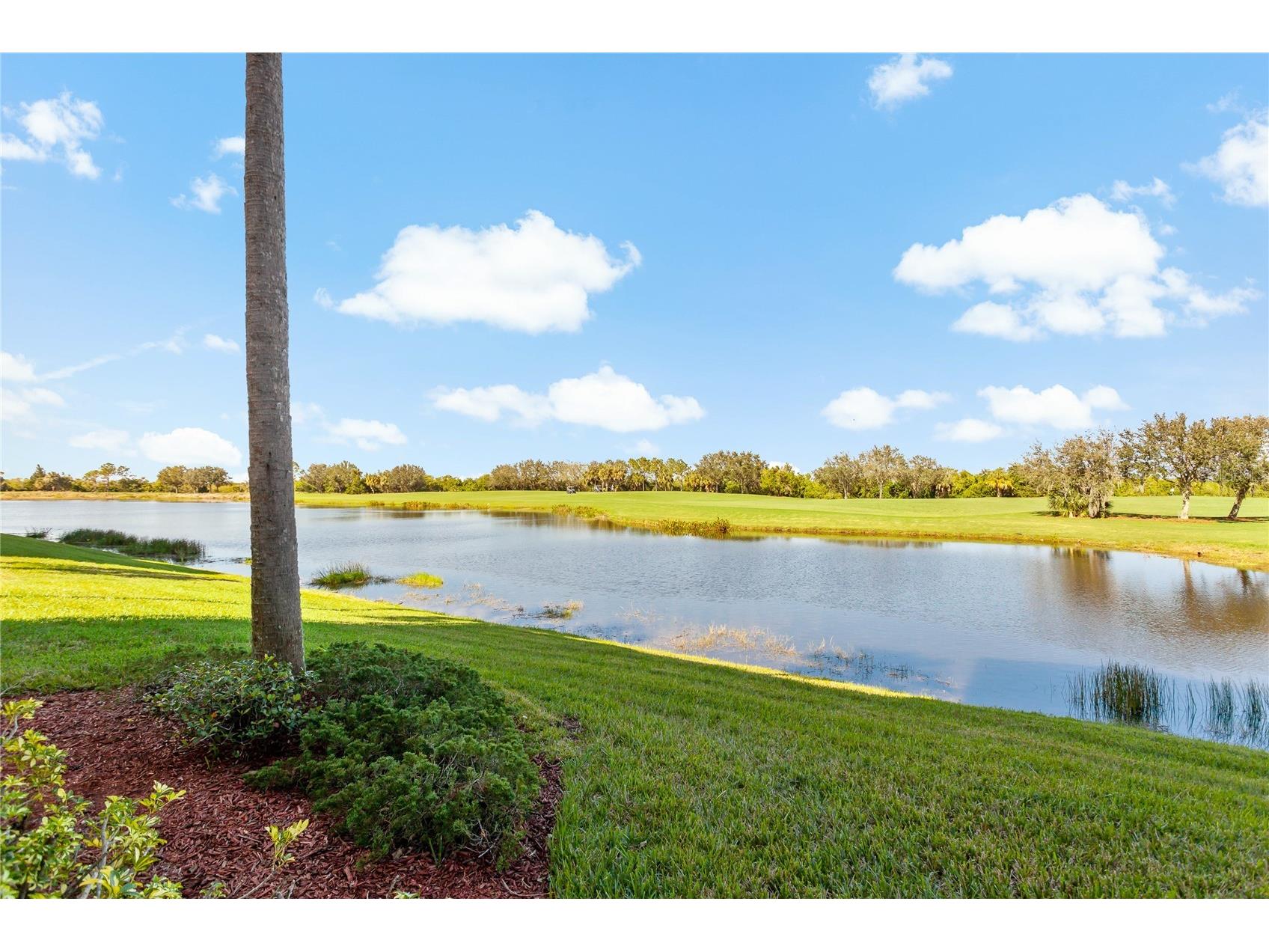 7121 River Hammock Drive #102 Bradenton FL 34212 A4689243 image3