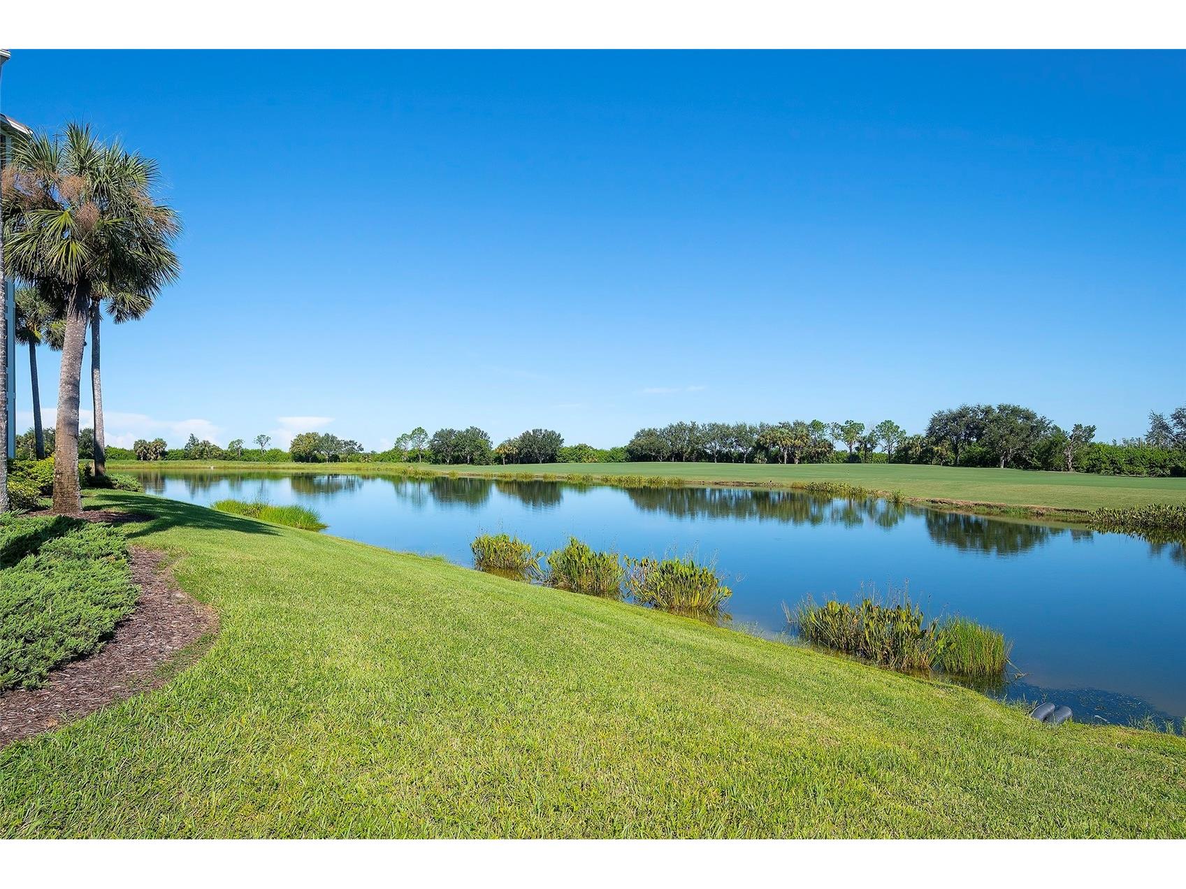 7121 River Hammock Drive #303 Bradenton FL 34212 A4665633 image21