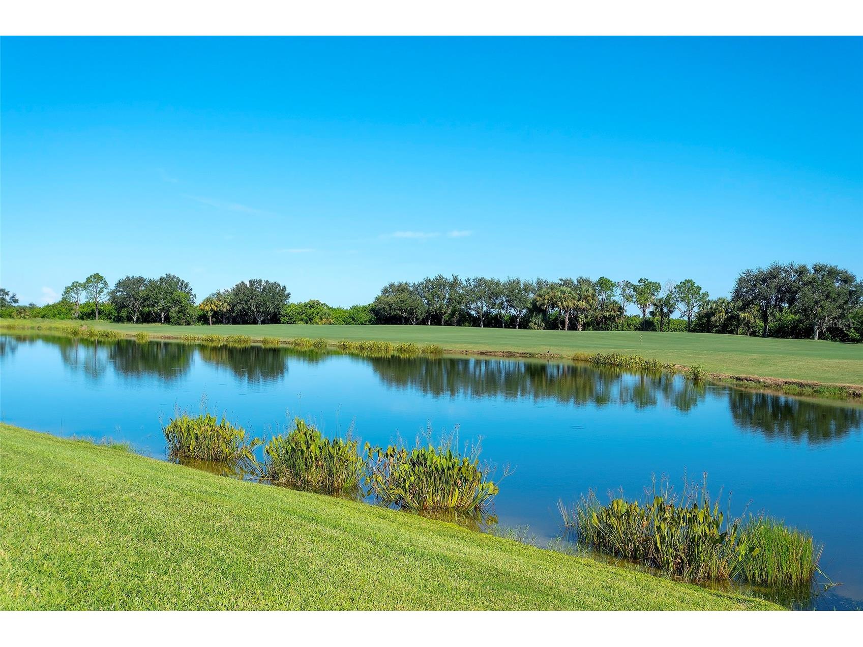 7121 River Hammock Drive #303 Bradenton FL 34212 A4683789 image20